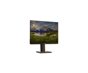 MONITOR PROFESIONAL 22"