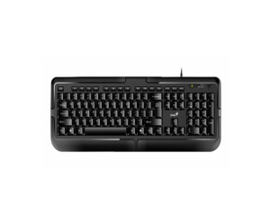 31310016401 TECLADO GENIUS KB-117 USB
