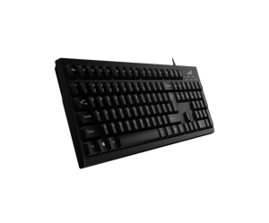 TECLADO GENIUS KB-100