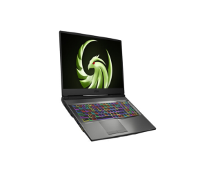 ALPHA 17 B55EK RYZEN7 RX6600M 8GB GDDR6